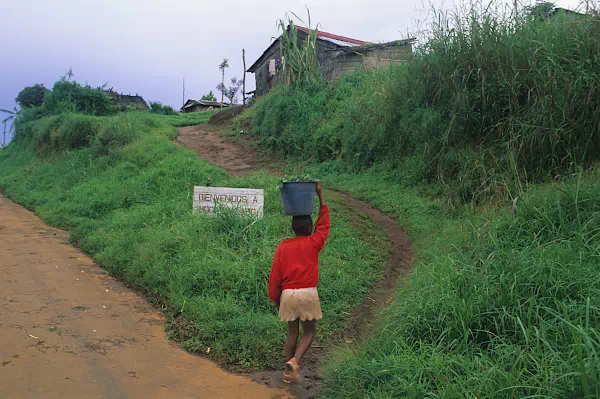 Regenwald -  Äquatorialguinea