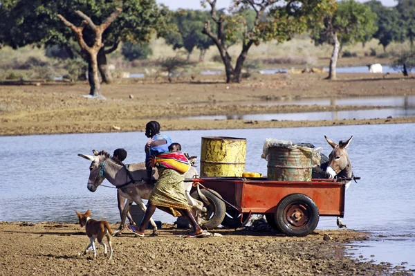 Kleinfamilie holt Wasser mit Eselsgespann
