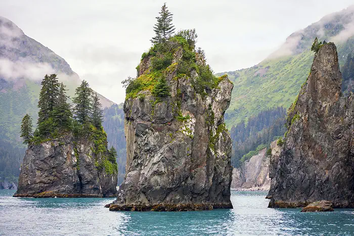 Bucht im Kenai Fjord Nationalpark