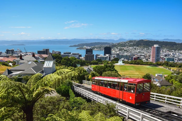 Blick auf Wellington mit Cale Car 