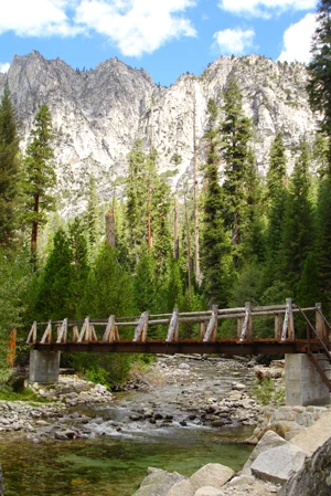 Bachquerung aus Holz im Kings Canyon NP