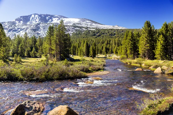 Landschaft - Tioga Pass Kalifornien