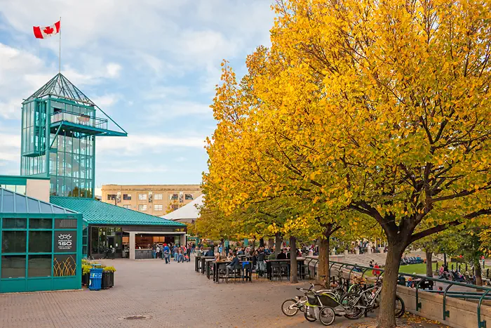 The Fork in Winnipeg