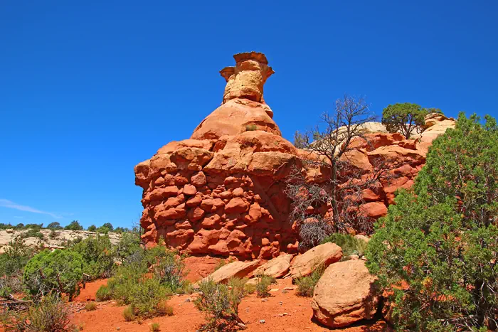 Sand Canyon nahe Cortez - Canyons of the Ancients National Monument