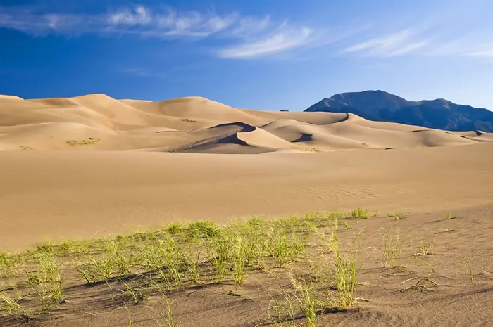 Dünenlandschaft im Great Sand Dunes Nationalpark in Colorado