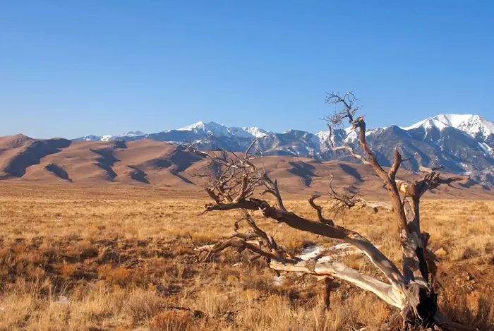 Dünen und Berglandschaft im Great Sand Dunes National Park