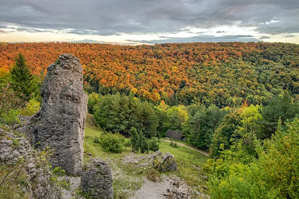 Kalkfelsen und Herbstwald auf der Frankenalb