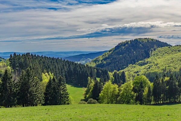 Thüringer Wald im Bundesland Thüringen
