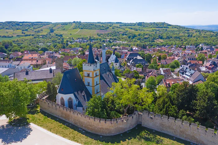 Panoramablick über Ingelheim