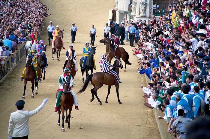 Pferderennen - Palio di Siena