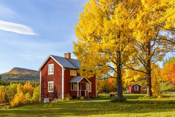 Waldlandschaft mit Haus in Schweden