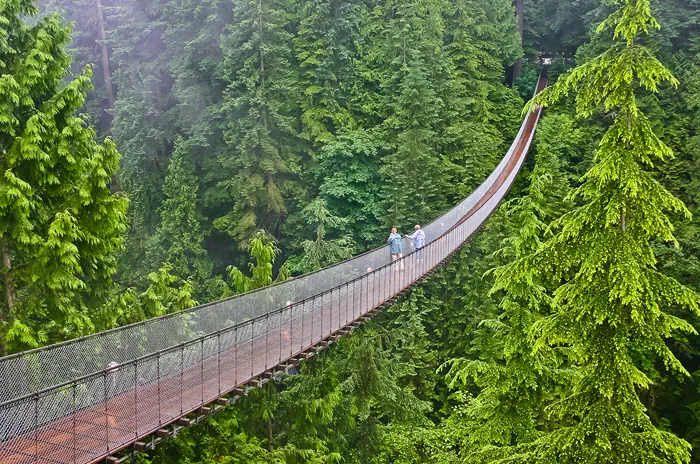 Capilano Bridge in den Wäldern von Vancouver