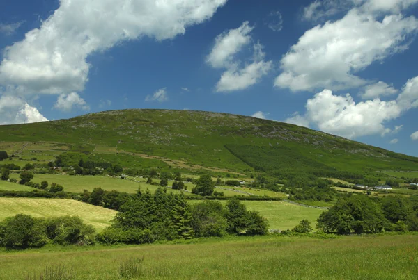 Blackstairs Mountains