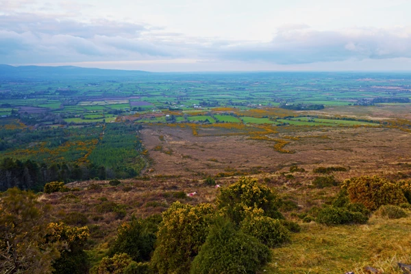 Landschaft im County Tipperary