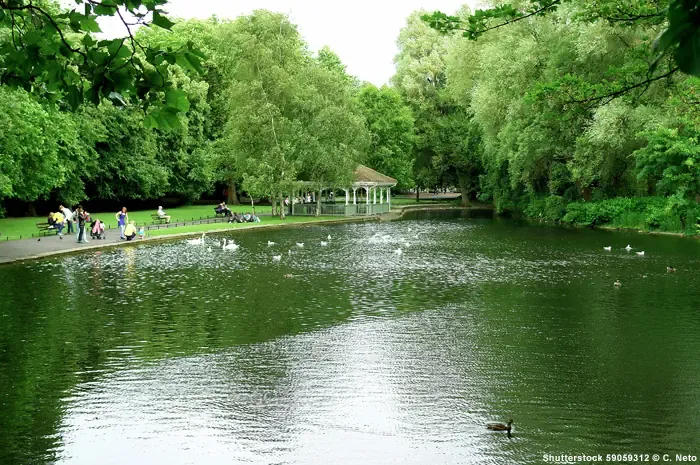 Teich - St. Stephen's Green - Dublin