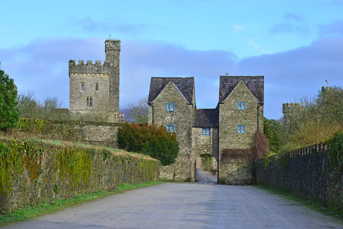 Lismore Castle -  Waterford