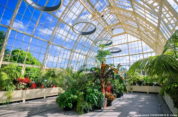 Glasshouse - National Botanic Gardens in Dublin