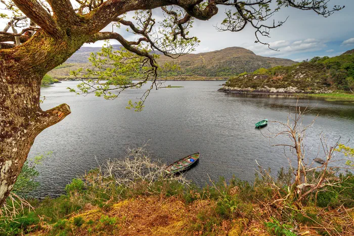 Ruhige Seenlandschaft im Killarney Nationalpark