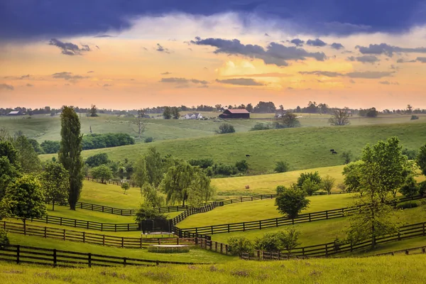 Hügeliges Weideland mit Farm in Kentucky