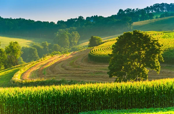 Landwirtschaftliche Flächen in Pennsylvania