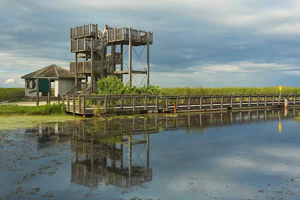 Aussichtssturm im Point-Pelee-Nationalpark