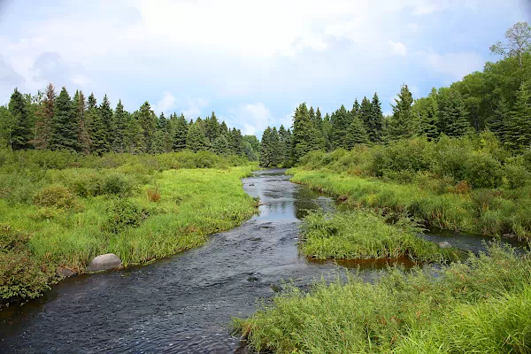 Fluss in Manitoba