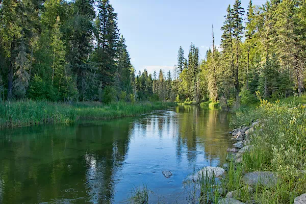 Einsamer Fluss im Wald - Kanada