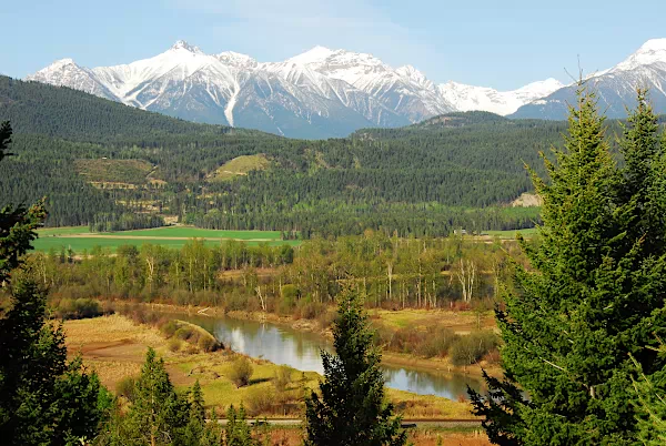 Panoramablick mit Columbia River - Tal im Kootenay-Nationalpark