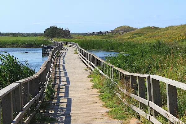 Holzsteg im National Park - Prince-Edward-Island 