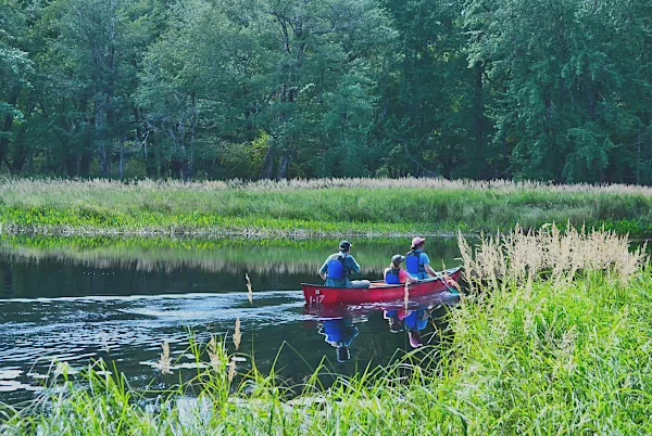 Kunufahrer auf Fluss im Kejimkujik-Nationalpark