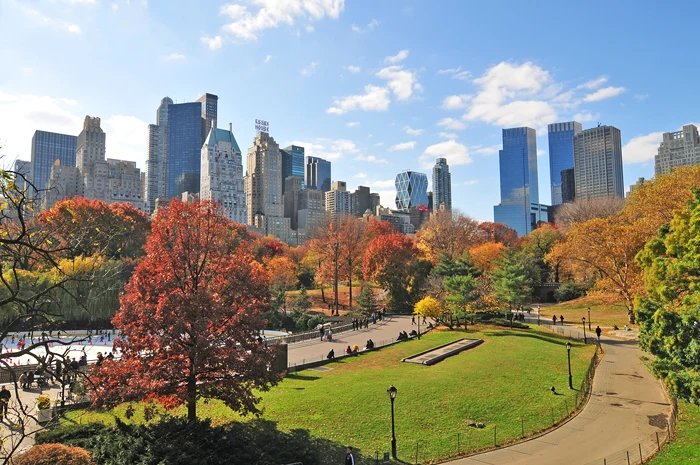 Central Park vor der Silhouette von Manhattan