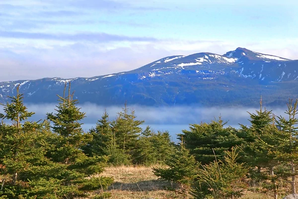 Berge im Gros Morne Nationalpark - Labrador & Newfoundland