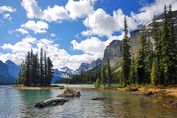 Am Maligne Lake