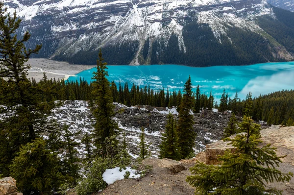 Peyto Lake - Banff NP - in den Rocky Mountains