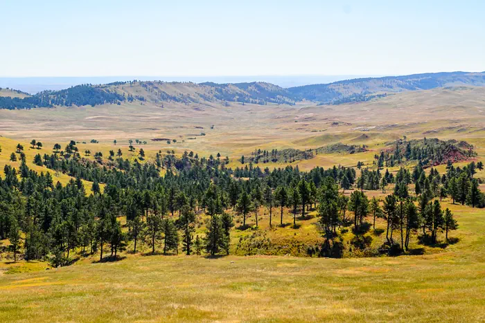 Landschaft Wind-Cave-Nationalpark