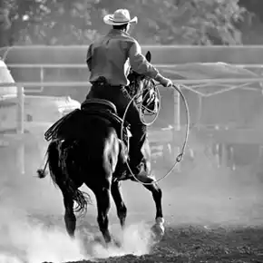 Cowboy mit Pferd, Texas