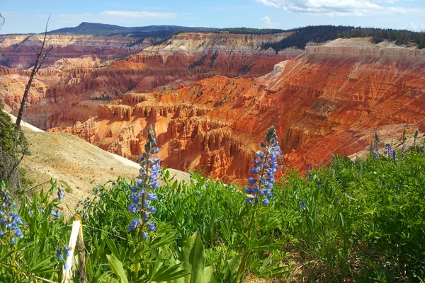 Cedar Breaks Felsformationen in Utah