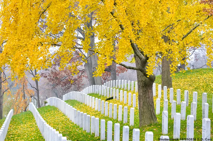 Arlington National Cemetery in Virginia