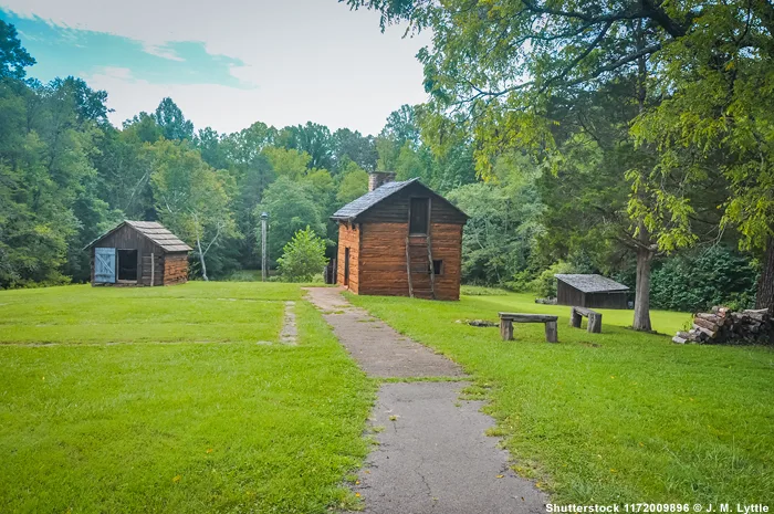 Tabakfeld in Virginia